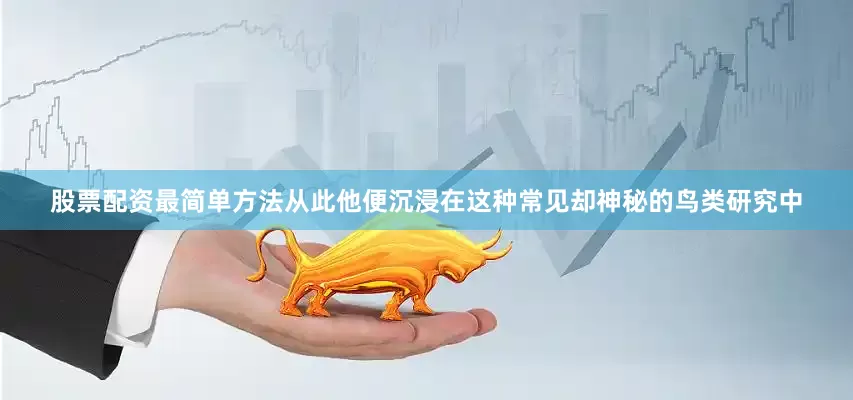 股票配资最简单方法从此他便沉浸在这种常见却神秘的鸟类研究中
