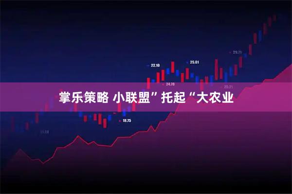掌乐策略 小联盟”托起“大农业